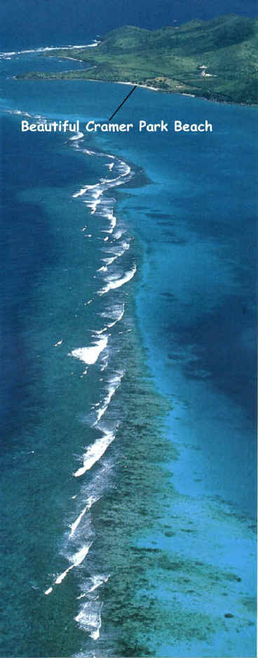 Aerial view of Cramer Park Beach and Reef on St. Croix