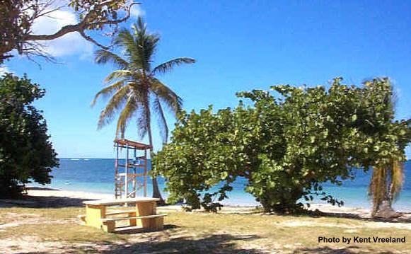 Picnic table at Cramer Park Beach on St. Croix.