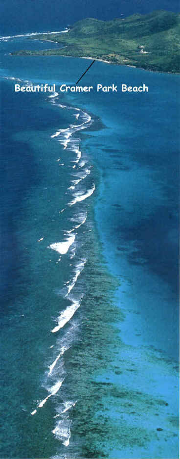 Cramer's Park Beach, Reef, St. Croix