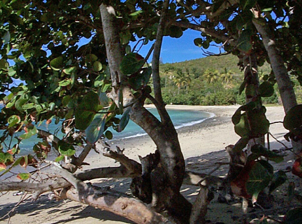 Butler's Bay Beach, St. Croix