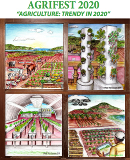 2020 Agrifest Poster, St. Croix, USVI