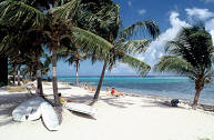 Colony Cove, St. Croix, USVI