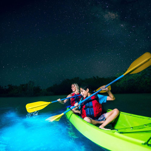 Kayaking tour of a Bioluminescent Bay on St. Croix.