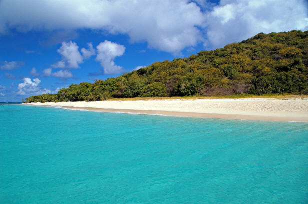 Turtle Beach's crystal clear water and soft white sand.