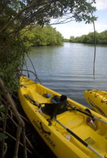 Bushtribe Eco Adventure Tours Kayak Tour