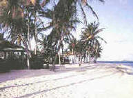 Pelican Cove Beach