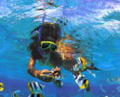 Snorkeling Buck Island with tropical fish