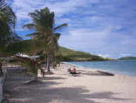 Reef Beach on the East end of St Croix.