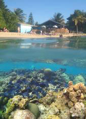 View of Rhythms from the ocean.