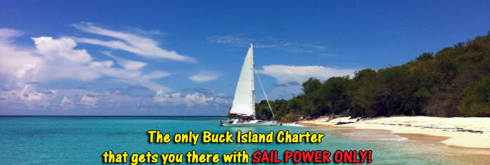 Buck Island Charters Teroro II at Buck Island