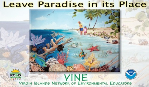 Leave Paradise in its Place - VINE - Virgin Islands Network of Environmental Educators