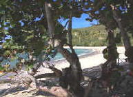 Beaches on the West end of St. Croix.