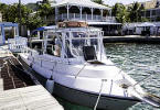 Christiansted scuba dive operator - Dive Experience