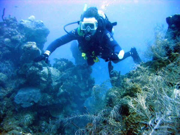 SCUBA diver at the Cane Bay Reef