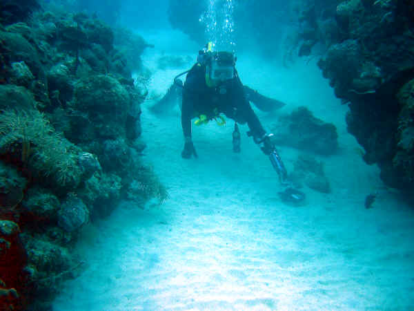 SCUBA diving, looking for treasure with a metal detector.
