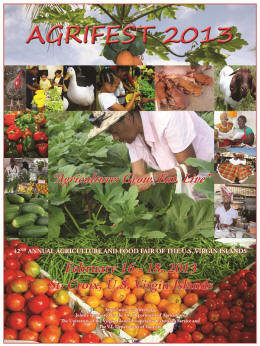 2013 AGRIFEST poster