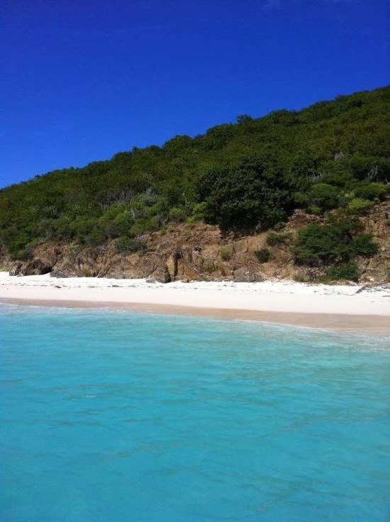 White sand beach on Buck Island