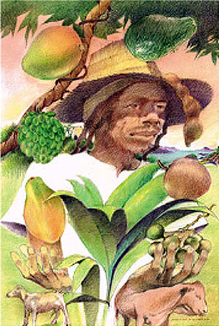 2004 St. Croix Agricultural and Food Fair / Festival Poster
