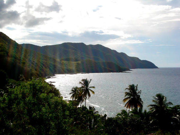 The north west coast of St Croix looking at Davis Bay and Hams Bluff