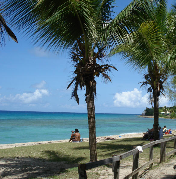 Beautiful Cane Bay Beach on St. Croix's North Shore.