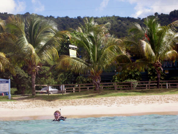 Looking at Cane Bay Beach, a Beach Bar and Dive Shop from the water.