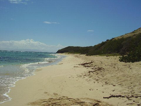 Isaac's Bay Beach, St. Crix, US Virgin Islands