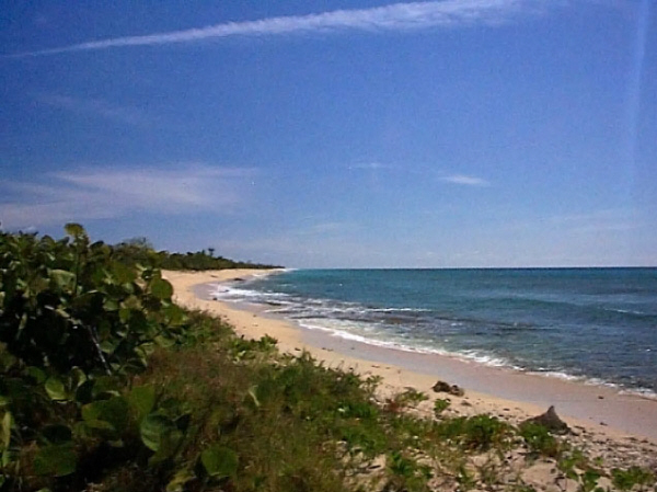 Sprat Hall Beach, St. Croix