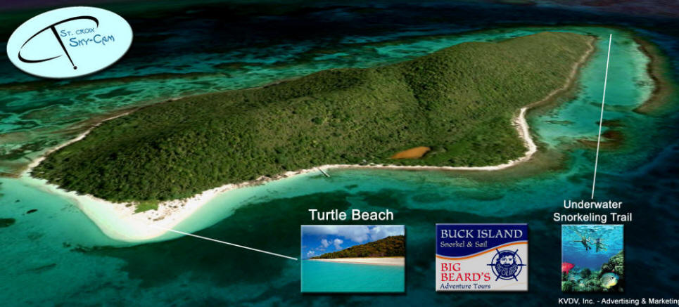 Aerial view of Buck Island, St Croix