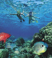 Snorkeling St. Croix, USVI