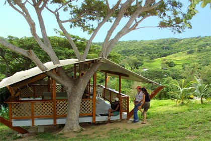 A view of a Mount Victory habitat in the lush rainforest of St. Croix