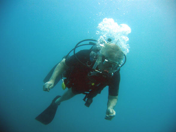 Diver suspended in blue water.