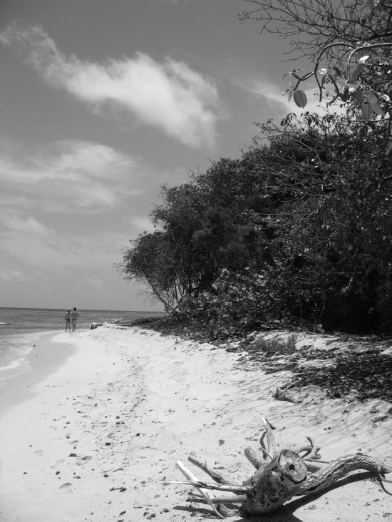 A couple walking on Turtle beach, Buck Island, St. Croix.