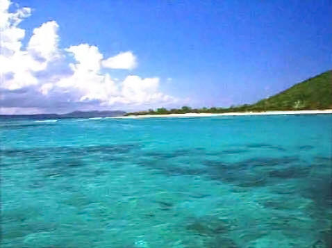 The lagoon just inside the reef at Buck Island, St. Croix, USVI.