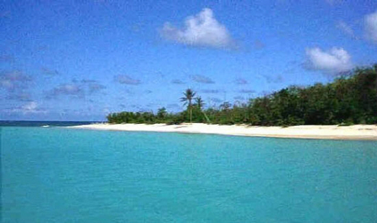 Turtle Beach on Buck Island prior to the removal of trees and plants not native to the island.